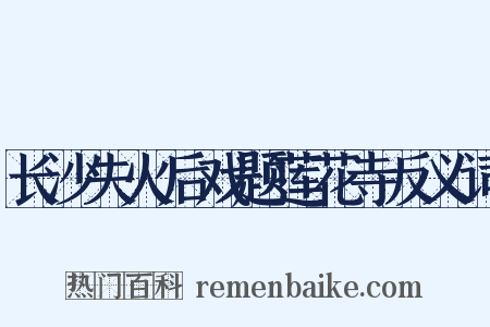 长沙失火后戏题莲花寺反义词是什么意思的图片